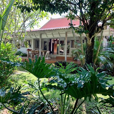 Quiet 3 Br-3 Bathroom Villa In Heart Of Canggu Екстер'єр фото